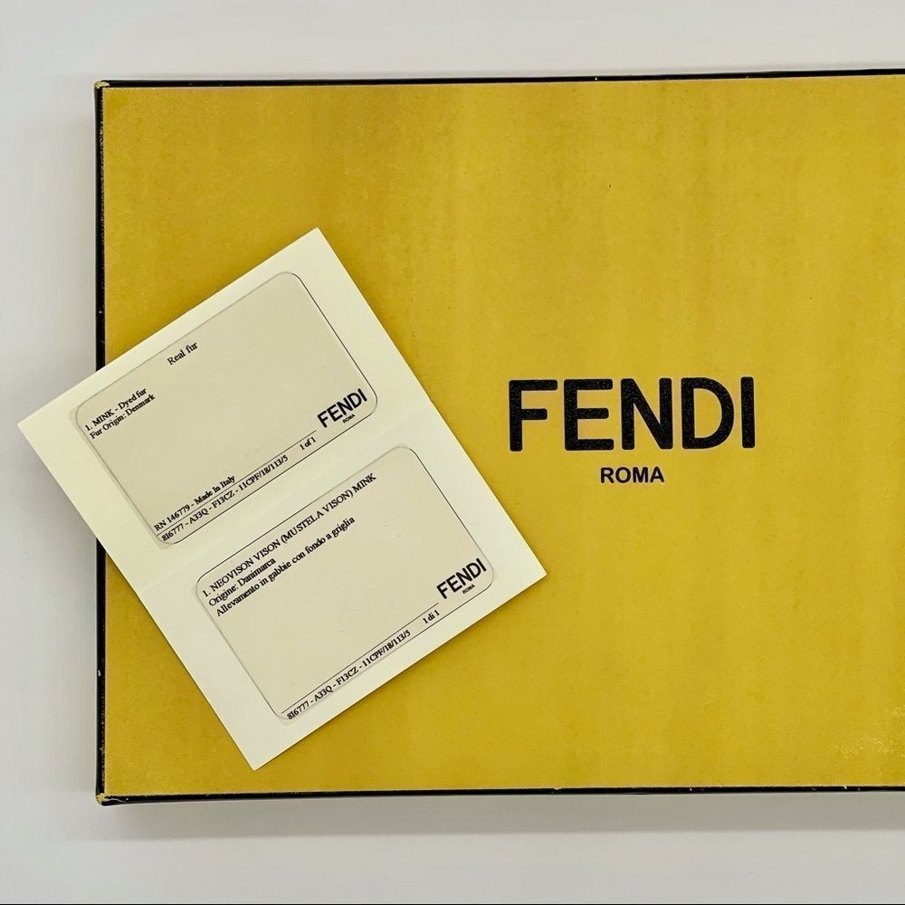 Fendi Closed Toe Heels Black Leather Pumps w/ Brown Mink Fur Size 39.5 NWT - Picture 11 of 15